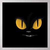 Gato Preto Maciço Bonito com Presas