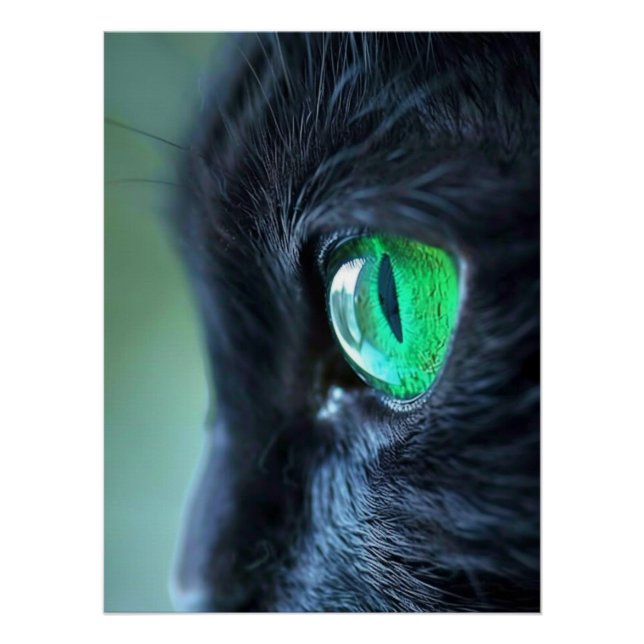 Pôster Gato Preto Olho Esmeralda (Frente)