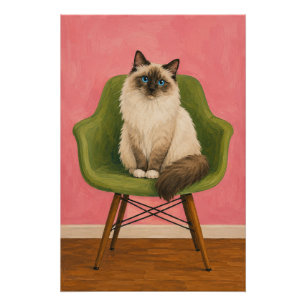 Pôster Gato Ragdoll Cadeira Verde Meados do Século