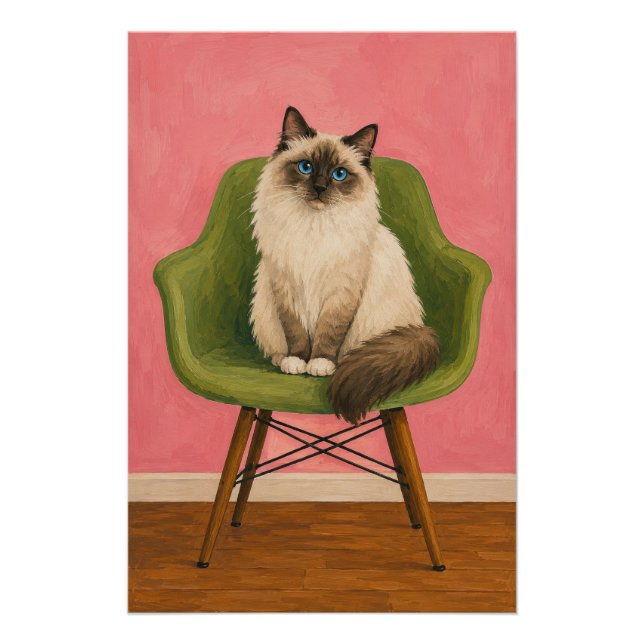 Pôster Gato Ragdoll Cadeira Verde Meados do Século (Frente)