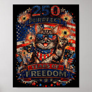 Poster Gato Retro Legal 250 Anos Patriota Americano