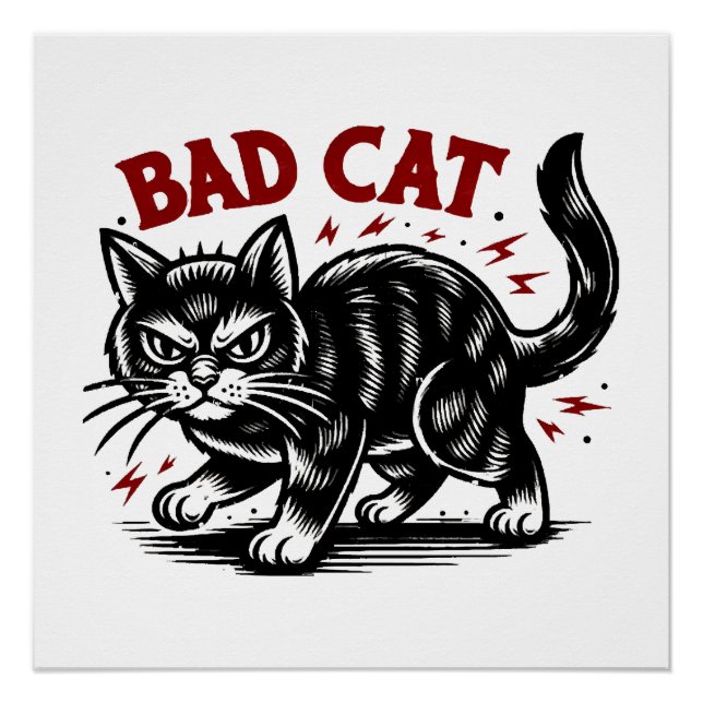 Pôster Gato Ruim (Frente)