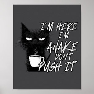 Poster Gato Sarcástico Gato Engraçado Estou Aqui Estou Ac