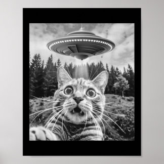 Poster Gato Selfie Com Disco Voador Alien Funny Cat Para