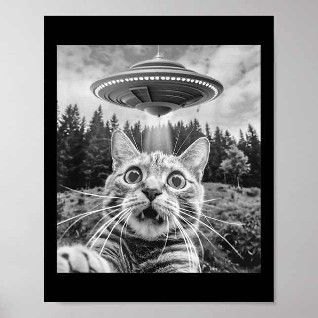 Poster Gato Selfie Com Disco Voador Alien Funny Cat Para  (Frente)