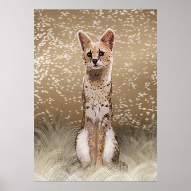 Poster Gato Serval Africano Bela (Frente)