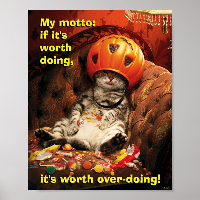 Poster Gato Sob Balde De Doces (Frente)