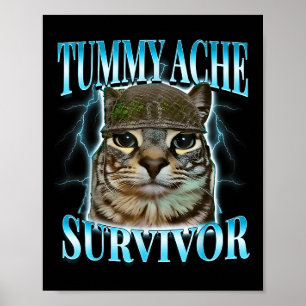 Poster Gato Sobrevivente de Dor de Barriga Meme Dito Dive
