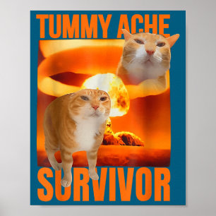 Poster Gato Sobrevivente de Dor de Barriga Meme Piada Div