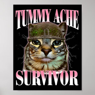 Poster Gato Sobrevivente de Dor de Barriga Meme Piada Div
