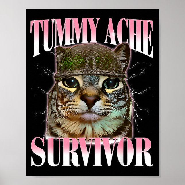 Poster Gato Sobrevivente de Dor de Barriga Meme Piada Div (Frente)