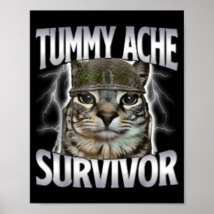 Poster Gato Sobrevivente de Dor de Barriga Meme Piada Div