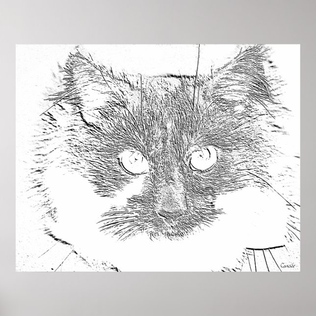 Pôster gato sortudo (Frente)