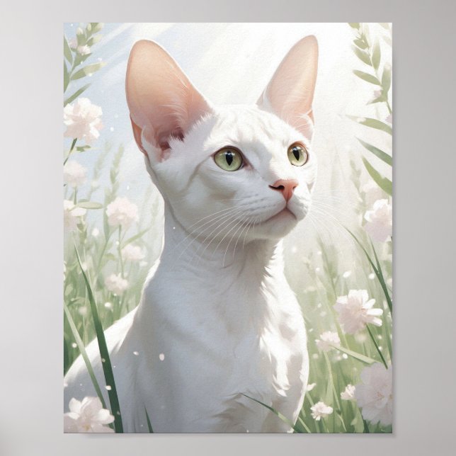 Poster Gato Sphynx Branco e Flores (Frente)