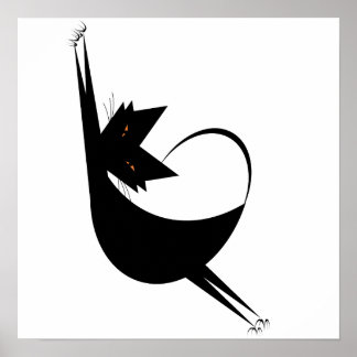 Poster Gato Stretchy