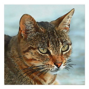 Pôster Gato Tabby com Contorno Preto em Estilo de Desenho