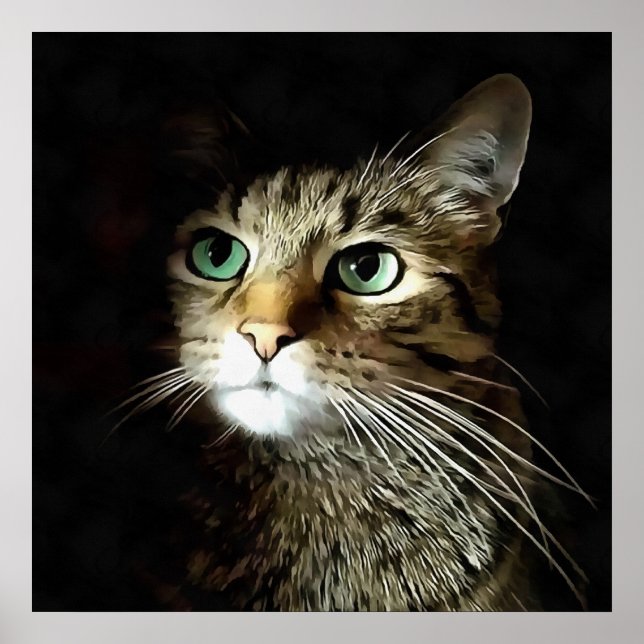 Poster Gato Tabby Com Olhos Verdes Isolados A Preto (Frente)