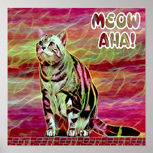 Poster Gato Tabby Prateado (Frente)