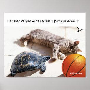 PÔSTER GATO, TARTARUGA E BASQUETEBOL