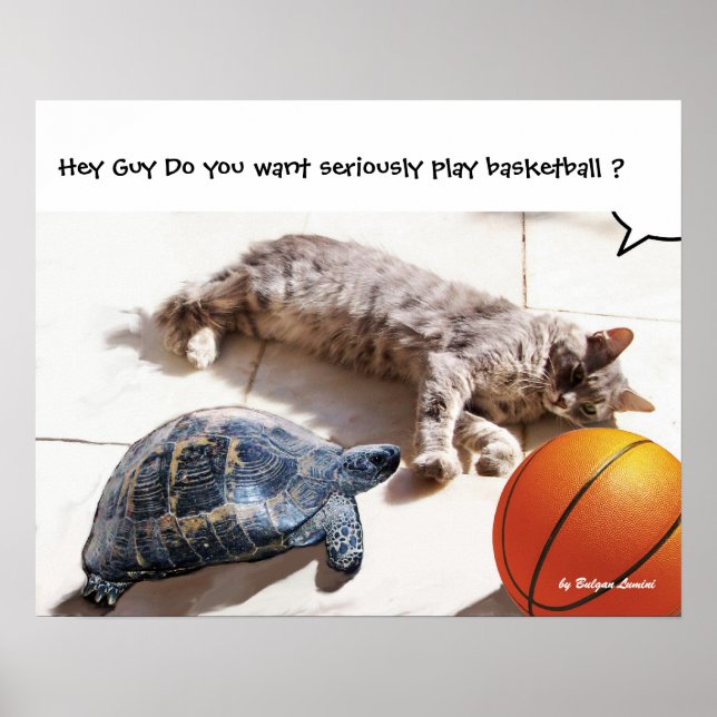 PÔSTER GATO, TARTARUGA E BASQUETEBOL (Frente)