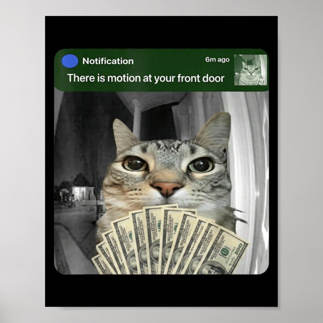 Poster Gato Tocando com Meme de Movimento  (Frente)