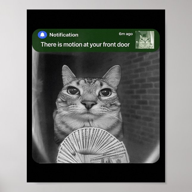Poster Gato Tocando com Meme de Movimento  (Frente)