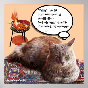 POSTER GATO TURCO EM MEDITAÇÃO TRANSCENDENTAL