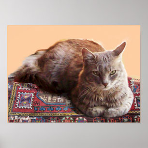 PÔSTER GATO TURCO NO TAPETE VELHO