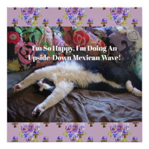 Pôster Gato Tuxedo Engraçado Fofo fazendo uma Onda Mexica