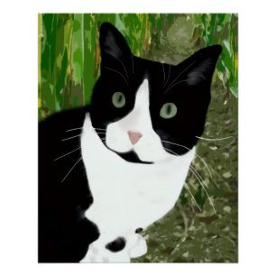 Pôster Gato Tuxedo no Milharal