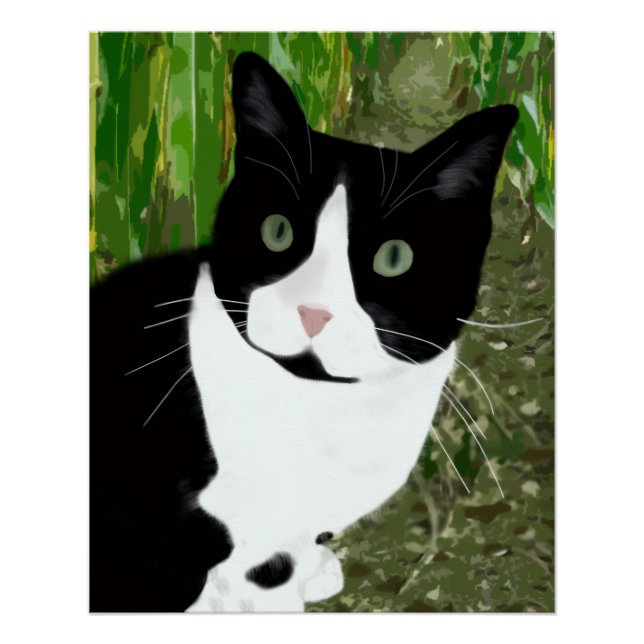 Pôster Gato Tuxedo no Milharal (Frente)