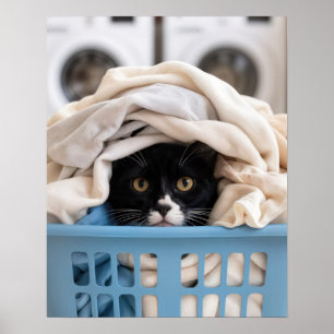 Poster Gato Tuxedo se Escondendo na Cesta de Roupa