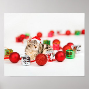 Poster Gato vestindo chapéu vermelho de Papai Noel