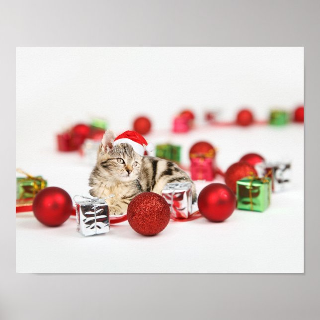 Poster Gato vestindo chapéu vermelho de Papai Noel (Frente)