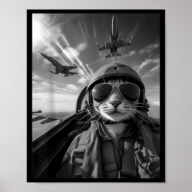 Poster Gato Voador Selfie Piloto de Caça Engraçado Meme J (Frente)