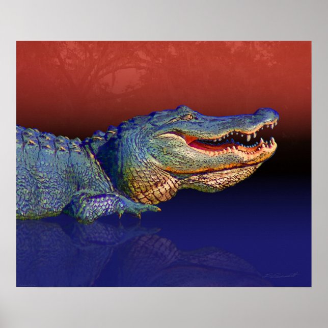 Pôster Gator Ready Print -24x20 -other sizes available (Frente)