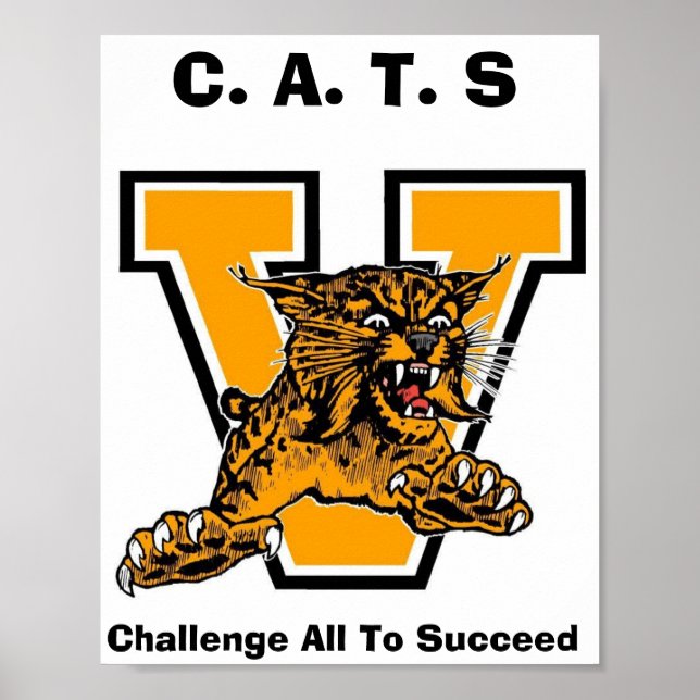 PÔSTER GATOS (Frente)