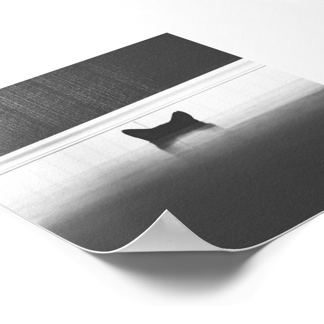 Pôster Gatos (Borda)