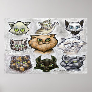 Poster Gatos