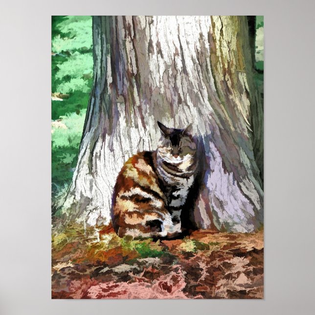 POSTER GATOS (Frente)