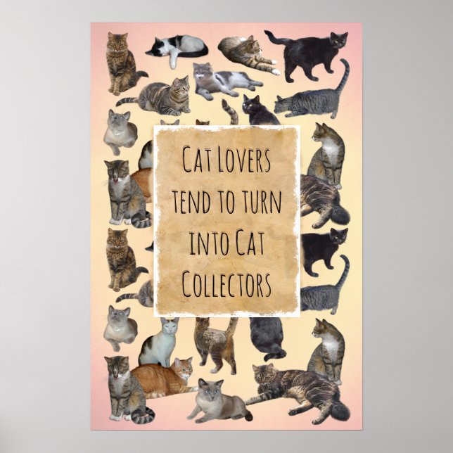 Poster Gatos Amantes tendem a se transformar em Coleciona (Frente)