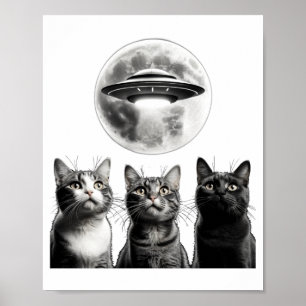 Poster Gatos Assustados Lua OVNI Invasão Alienígena Diver
