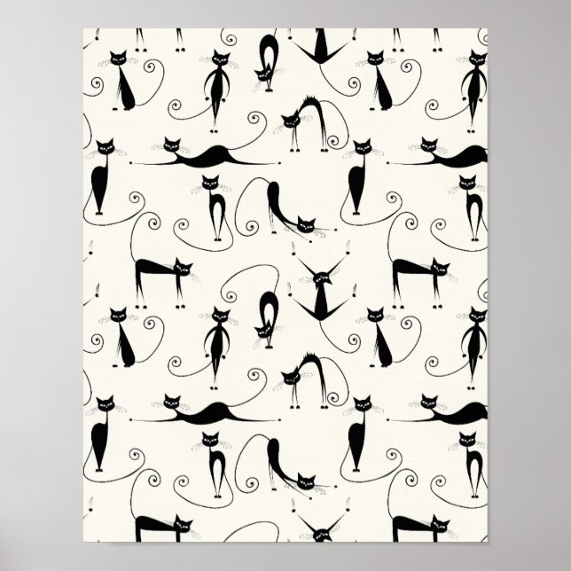 Poster Gatos Brancos Brancos Brancos Brancos (Frente)