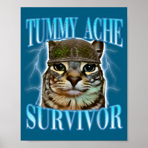 Poster Gatos com Dizeres Divertidos Sobrevivente de Dor d