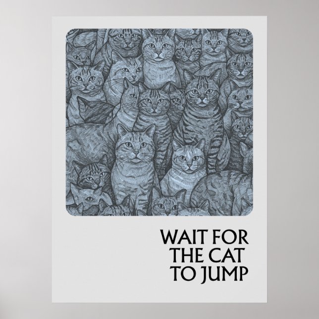 Poster Gatos-cruzados - provérbios (Frente)