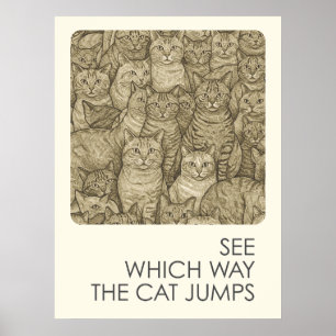 Poster Gatos-cruzados - provérbios