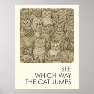 Poster Gatos-cruzados - provérbios