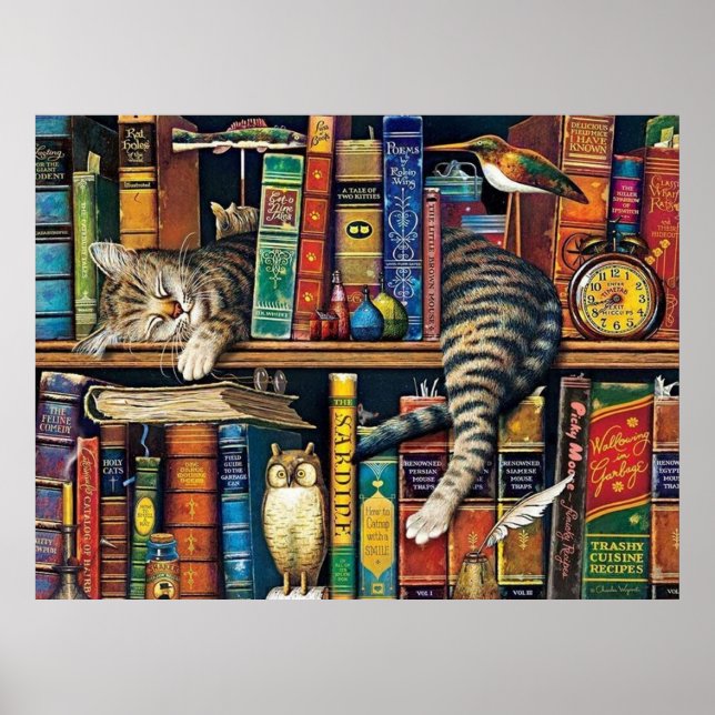 Poster Gatos da Biblioteca de Gatos da Bookshelf (Frente)