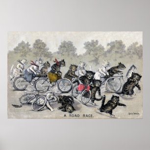 Pôster Gatos da equitação da bicicleta