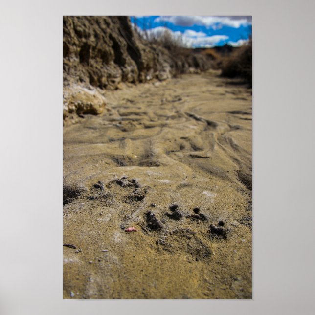 Poster Gatos de Badlands (Frente)